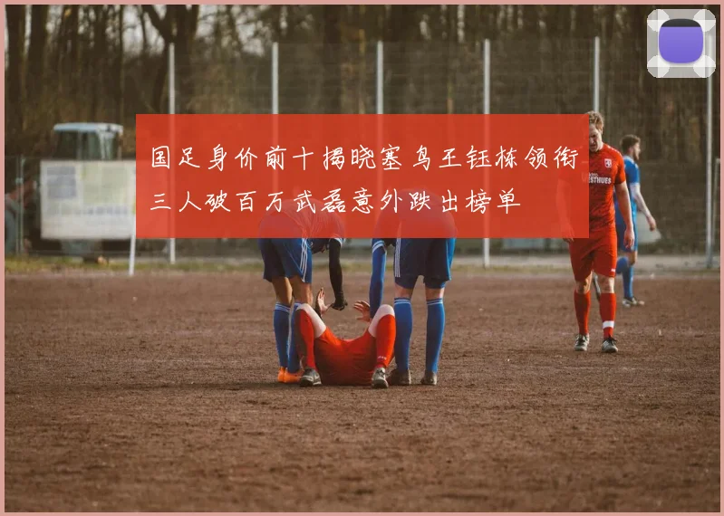国足身价前十揭晓塞鸟王钰栋领衔三人破百万武磊意外跌出榜单