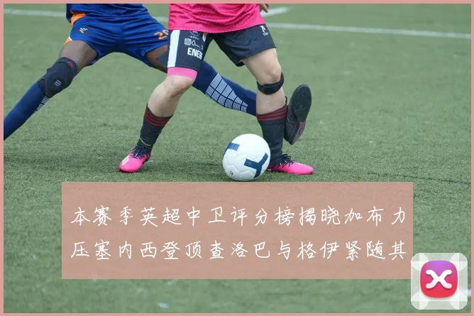 本赛季英超中卫评分榜揭晓加布力压塞内西登顶查洛巴与格伊紧随其后