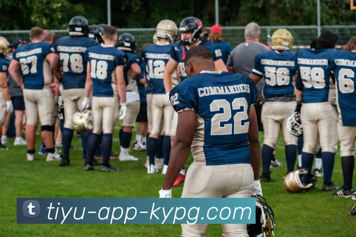 开元棋牌平台生态图